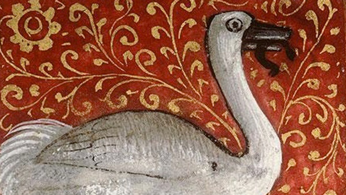 bird2.jpg