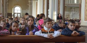 Thumbnail for read also