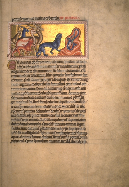 ABERDEEN BESTIARY