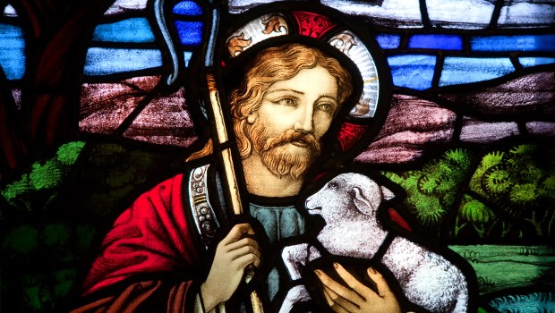 JESUS THE GOOD SHEPHERD