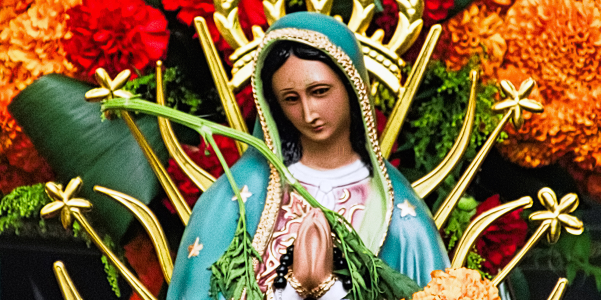 Lady of Guadalupe