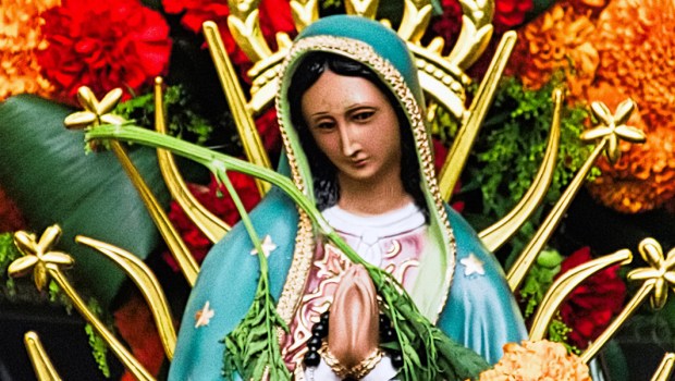 Lady of Guadalupe