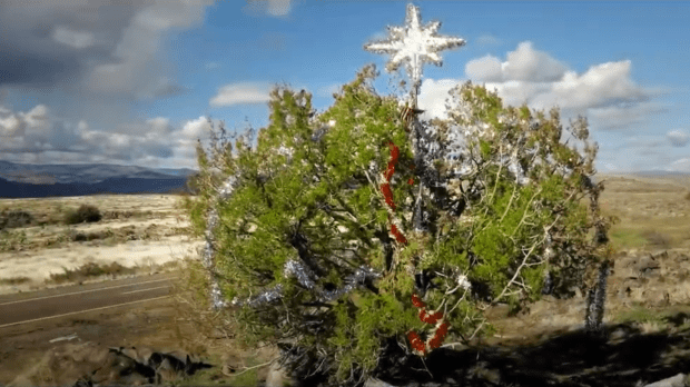 web3-scrubby-christmas-tree-arizona-adot-youtube-fairuse.png
