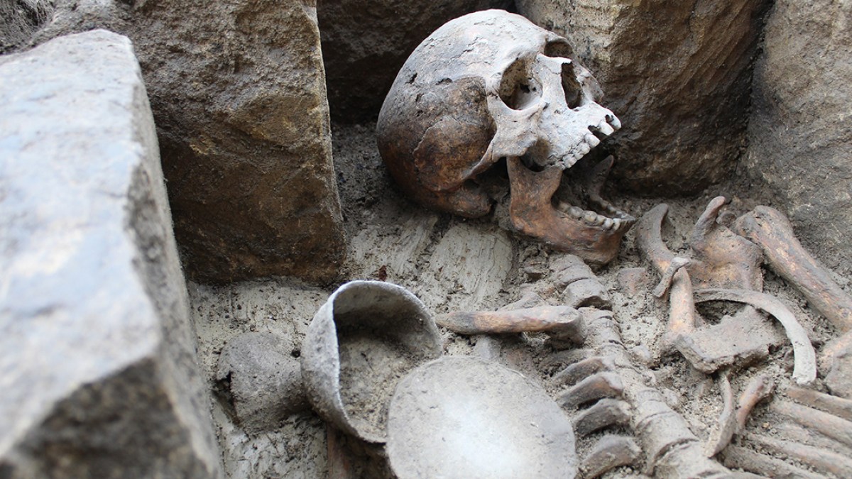ALLEN ARCHEOLOGY