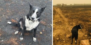 Thumbnail for read also