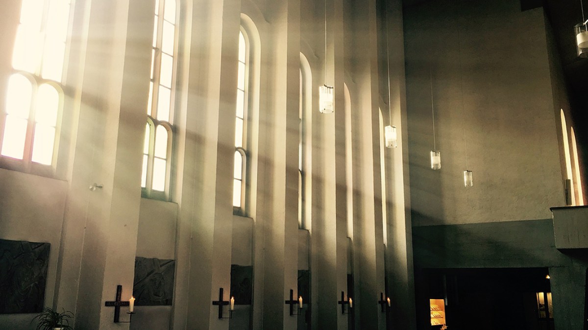 SUNLIGHT