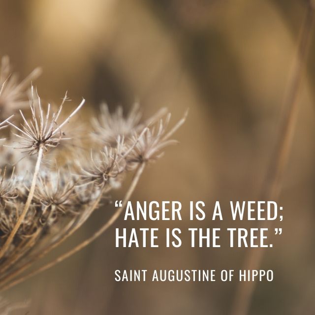 7 Of The Best Quotes From St Augustine Even If You Can T Really Pick Just 7