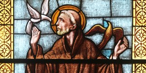 5 Easy last-minute ways to celebrate St. Francis of Assisi