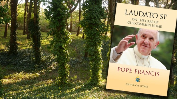 Laudato si-Marko Vombergar-1440×600
