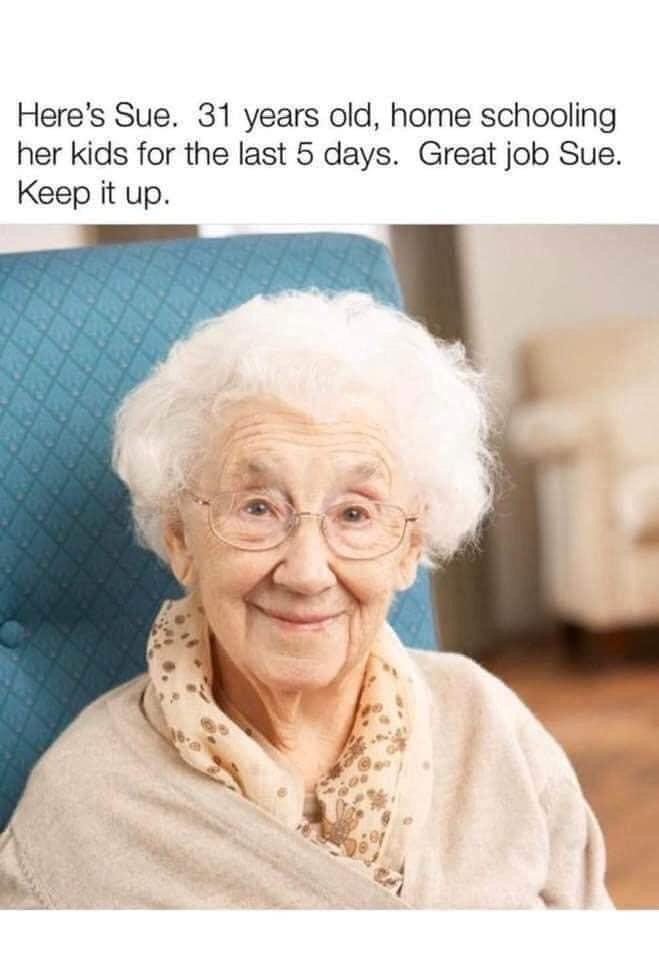 Image result for homeschool funny meme