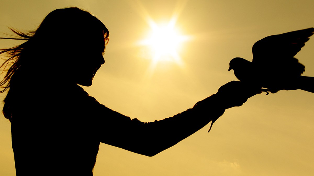 Holy Spirit