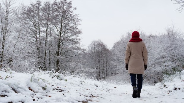 Woman in red knit had standing before snowy forest