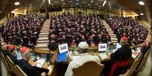 Synod participants: 5 key stats (in charts)