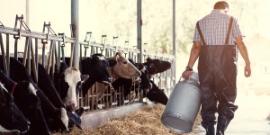 Ask God to bless all farmers with this prayer