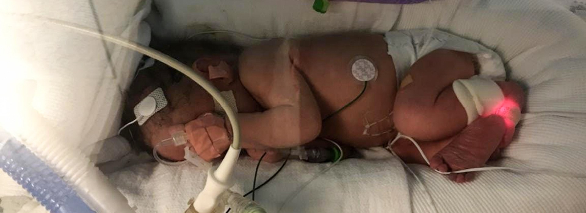 web3-lead-baby-josie-courtesy.jpg