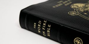 3rd volume of Word on Fire Bible presents the Pentateuch in 2023