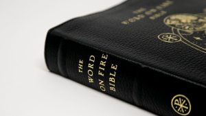 Word-on-Fire-Bible-7-scaled-1.jpg