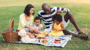family picnic