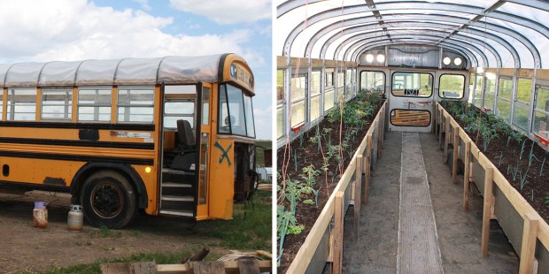 SCHOOL BUS GREENHOUSE