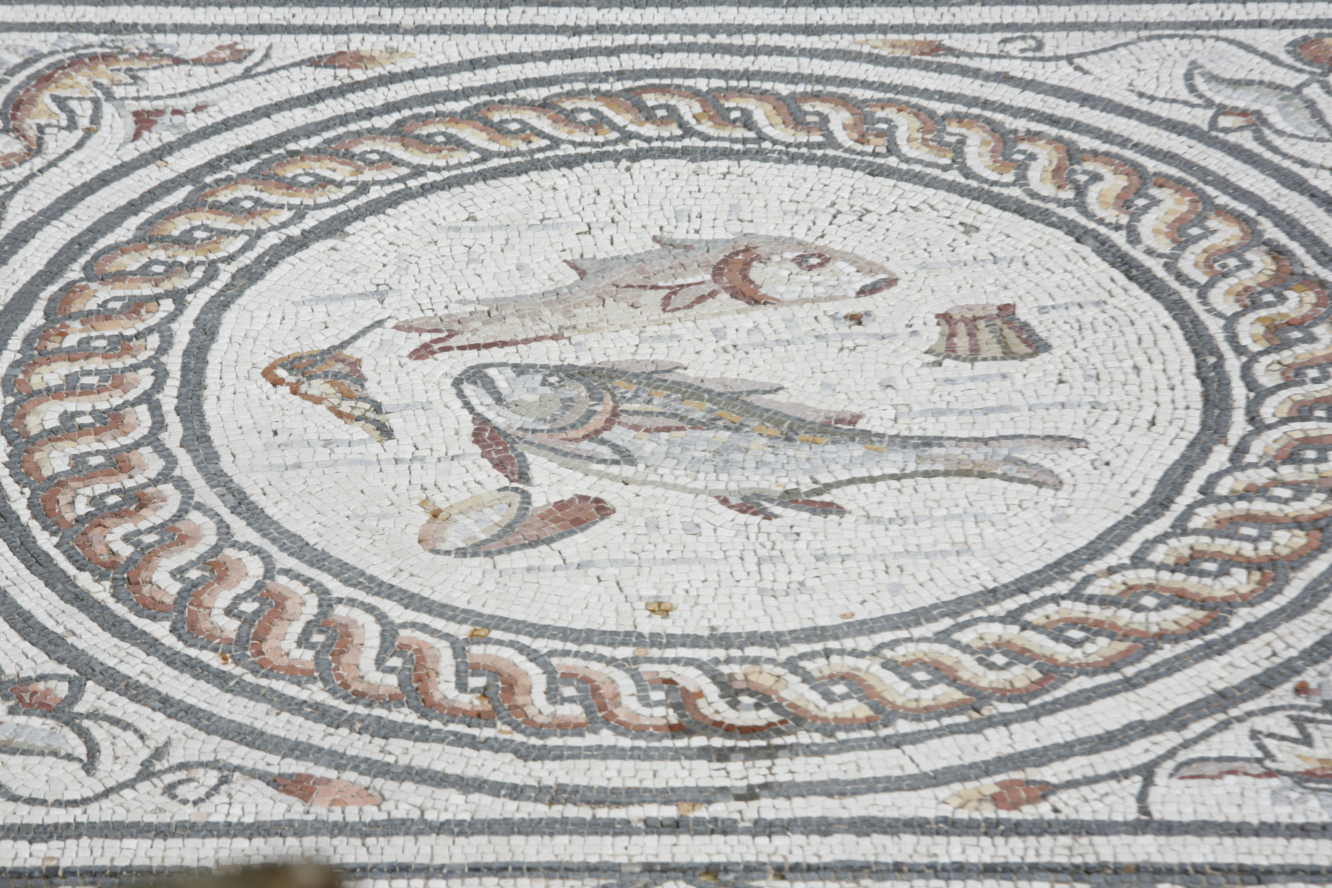 Megiddo Mosaic: Earliest evidence of Jesus proclaimed as God