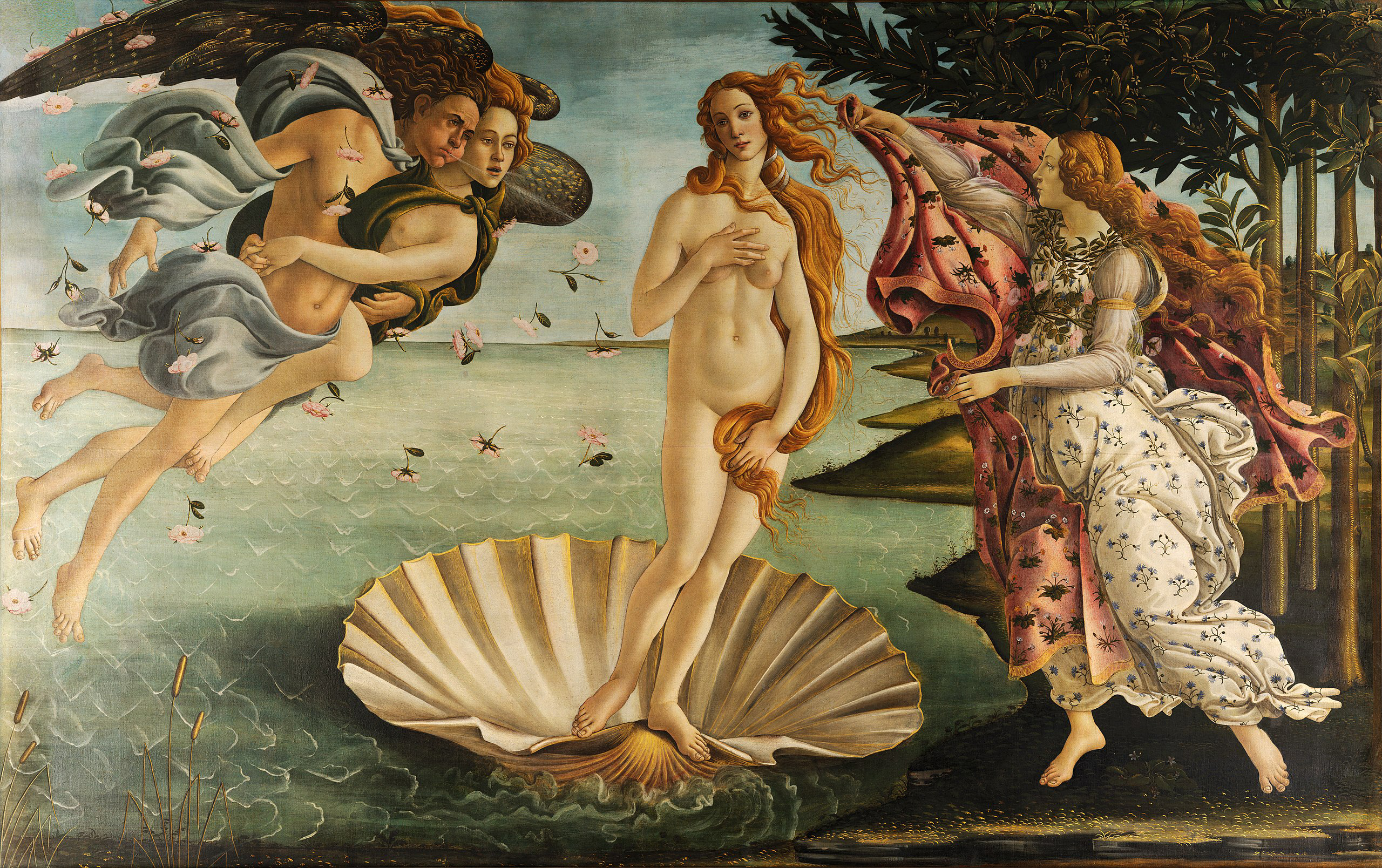 BIRTH OF VENUS