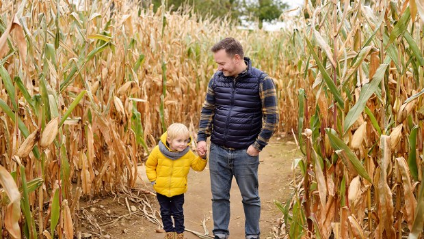 CORN MAZE