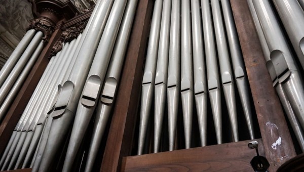 ORGAN