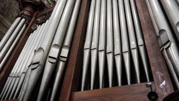 ORGAN