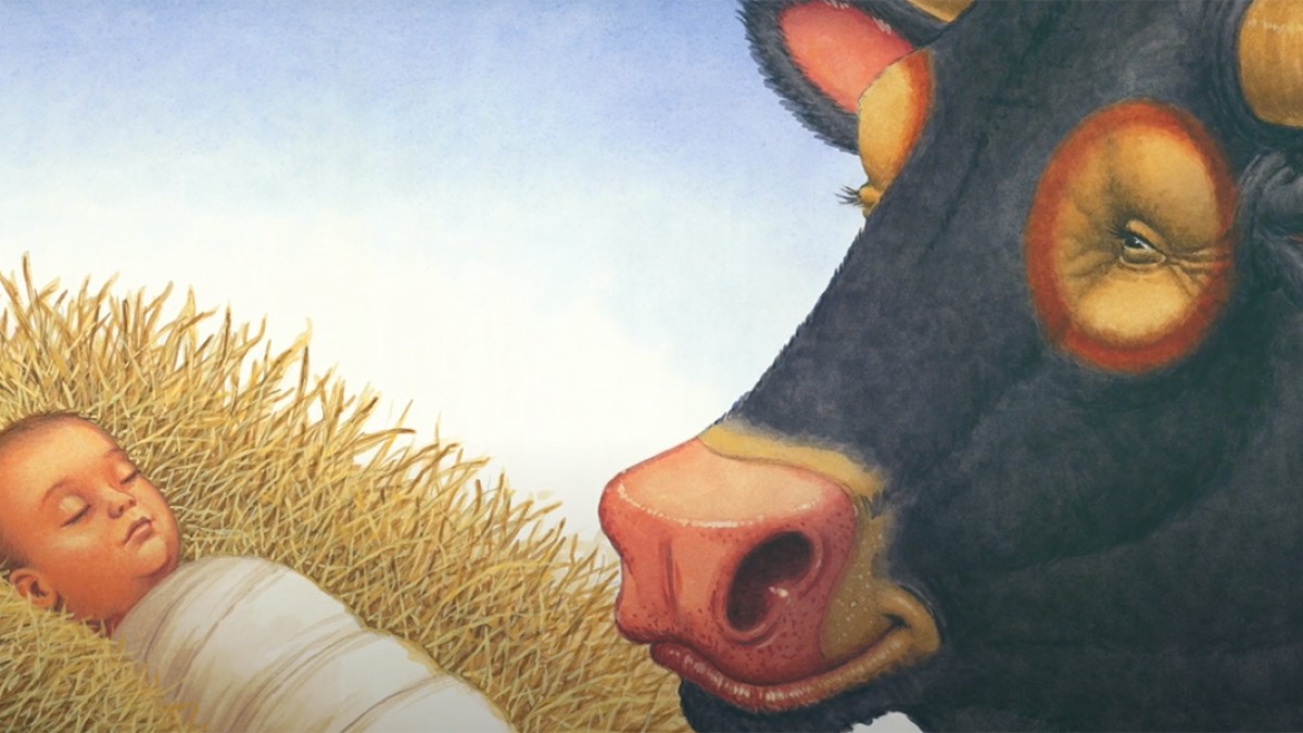 WEB3-THE-GRUMPY-OX-.jpg
