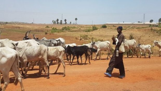 NIGERIA; FULAANI