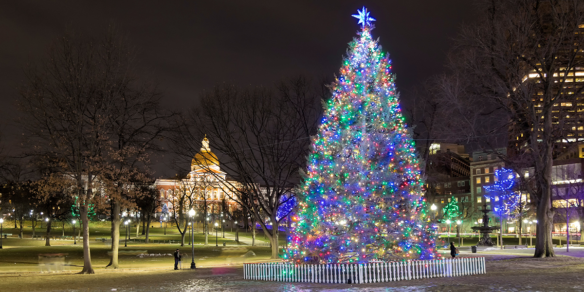 BOSTON CHRISTMAS TREE