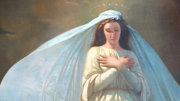 What does the Bible say about Mary's Immaculate Conception?