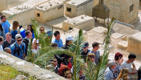 Sunday’s Gospel at the Procession with Palms