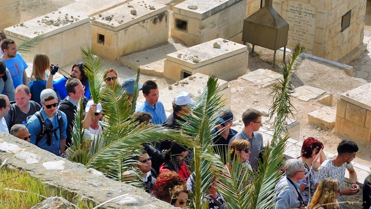Sunday’s Gospel at the Procession with Palms