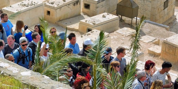 Sunday’s Gospel at the Procession with Palms