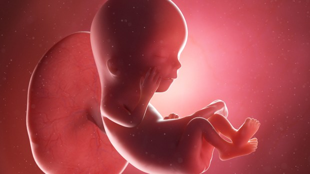 Most Americans believe unborn children have rights, poll shows