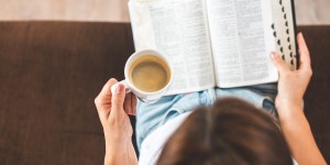 Why the Song of Songs is perfect to read during Advent