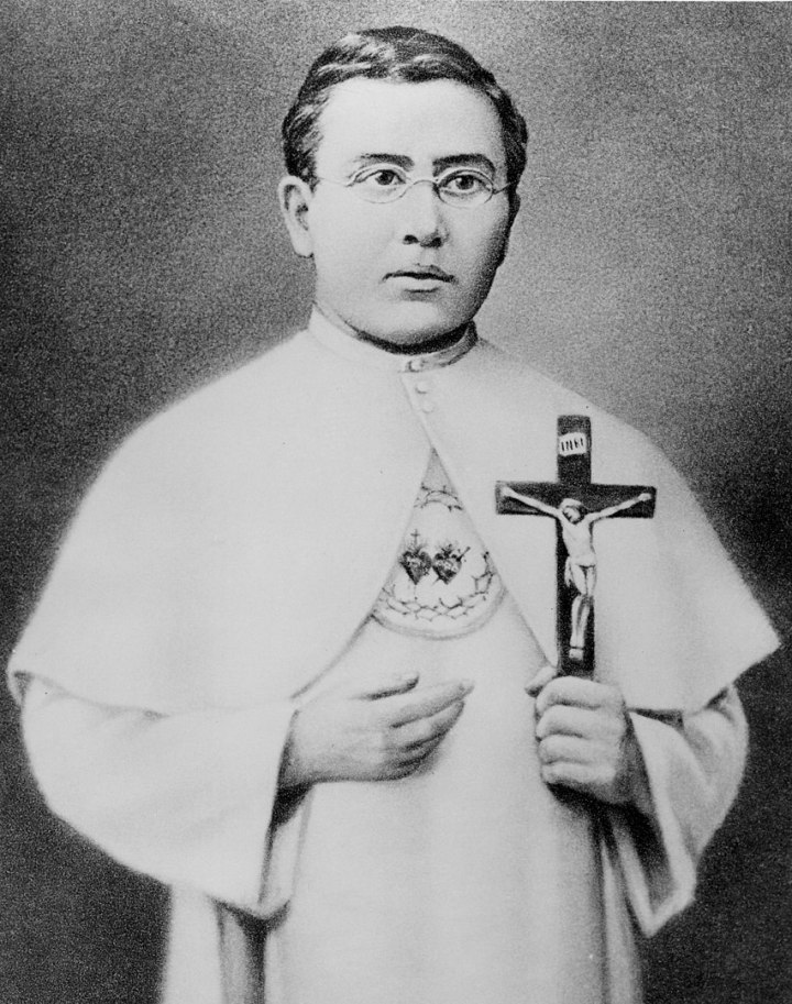 (slideshow) Rarely seen photos of St. Damien of Molokai