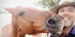 How do horses help us heal?