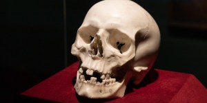 Skull sculpted by Bernini and owned by a pope discovered
