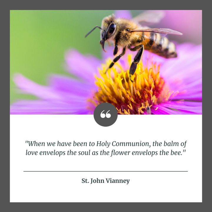 (Slideshow) 12 Important quotes on the beauty of Holy Communion