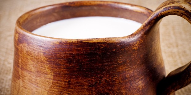 How putting yogurt in a bowl led to faith - Vimarsana News