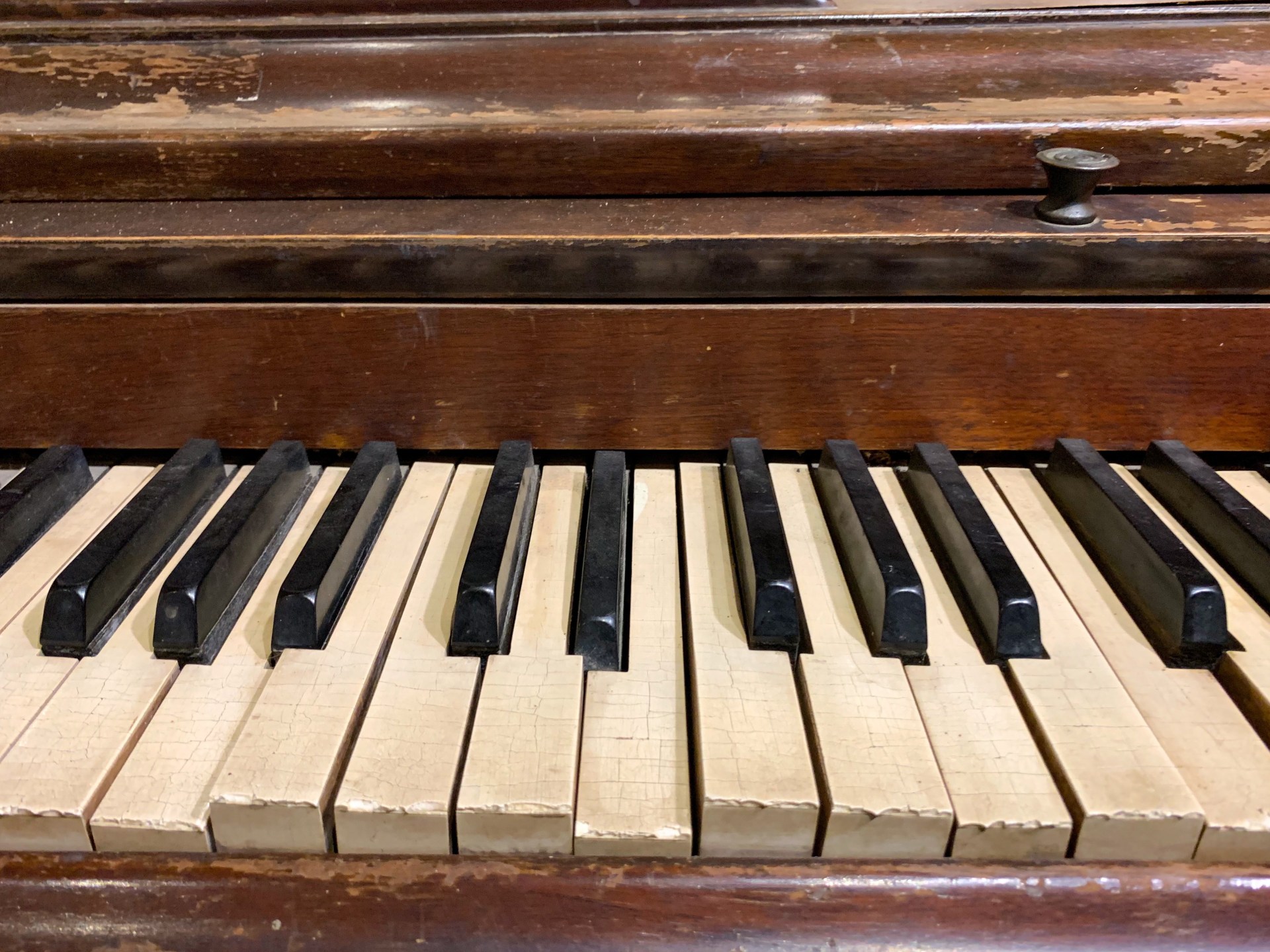 MUSIC