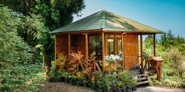 SUMMER SHED