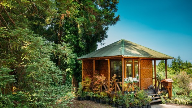 SUMMER SHED