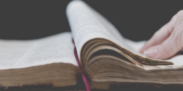 What do Catholics believe about the Bible? - Vimarsana News