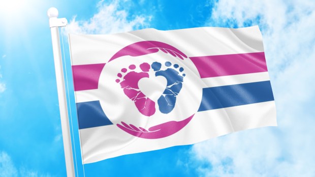 PRO LIFE FLAG PROJECT