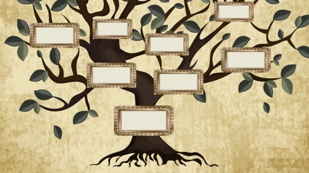 5 Reasons to make a family tree with your family