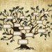 5 Reasons to make a family tree with your family