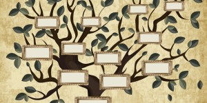 5 Reasons to make a family tree with your family